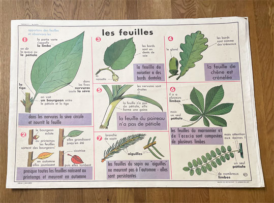 affiche_scolaire_ancienne